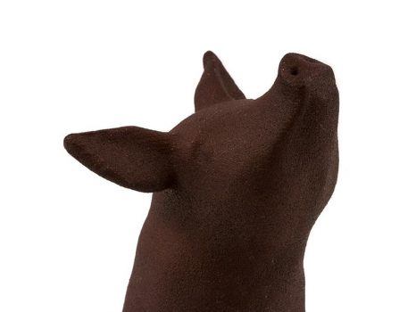 Polyamide Dyeing Brown