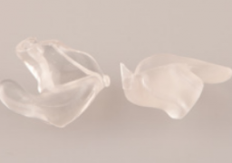 E-Shell 300 Series Transparent