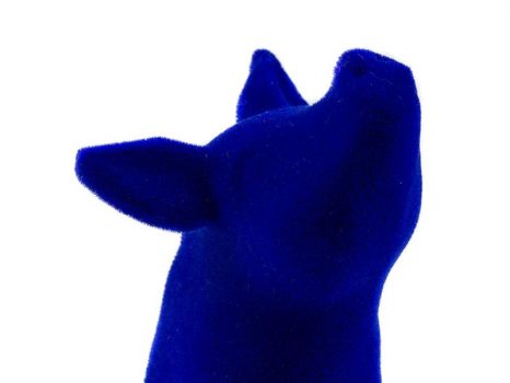 Polyamide Velvet Blue