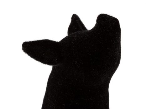 Polyamide Velvet Black