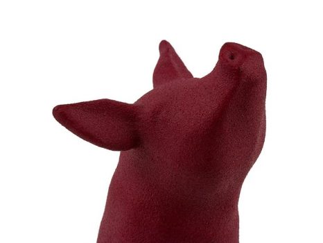 Polyamide Dyeing Bordeaux